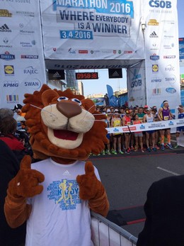 Cvite.sk - SOB Bratislava Marathon 2016
